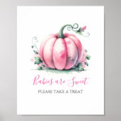 Pink Pumpkin Baby Duschposter Poster (Vorne)