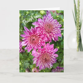 Pink-Purple Chrysanthemums with Raindrops Dankeskarte