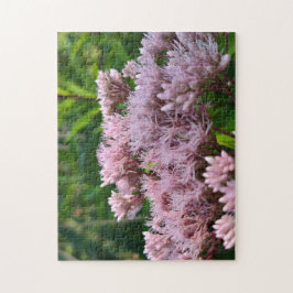 Pink Pye Weed Lens Puzzle