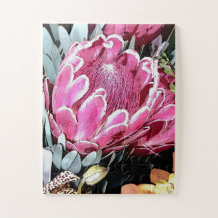 Pink Queen Protea Australien gebürtige Blütennum Puzzle