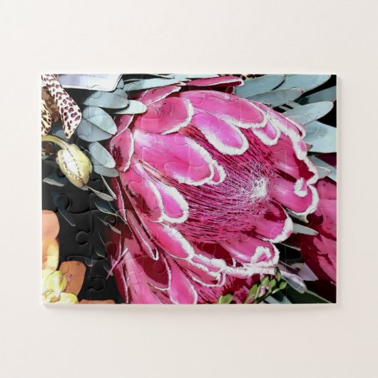 Pink Queen Protea Australien gebürtige Blütennumme Puzzle (Horizontal)