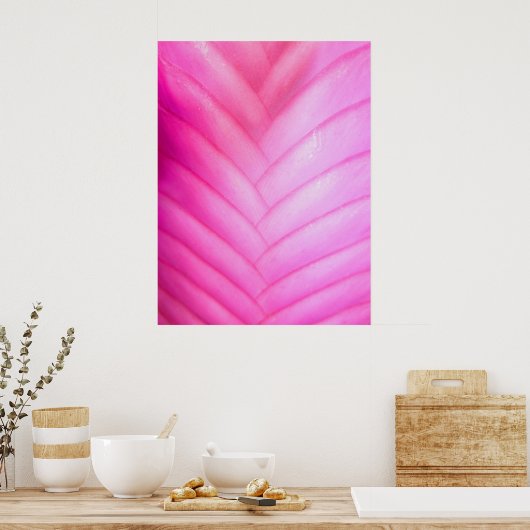 Pink Quill Bromeliad Poster (Küche)