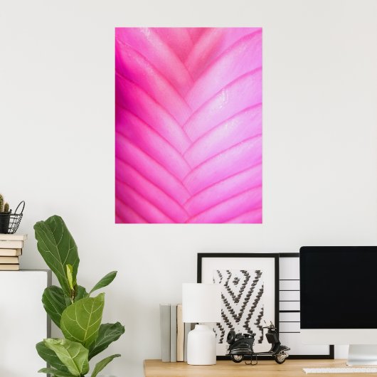Pink Quill Bromeliad Poster (Heimbüro)