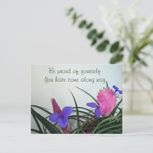 Pink Quill Pflanze Postkarte (Stehend Vorderseite)