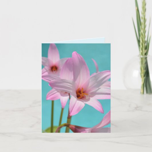 Pink Rain Lilies Aqua Blank (Vorderseite)