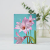 Pink Rain Lilies Fotografy Floral Aqua Blue Postkarte (Stehend Vorderseite)