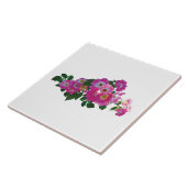 Pink Rambler Rose Fliese (Seite)