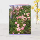 Pink Rambling Rose Rose Garden Blume Karte (Gelbe Blume)