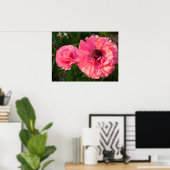Pink Rannunculus Bulb Spring Garden Blume Poster (Heimbüro)
