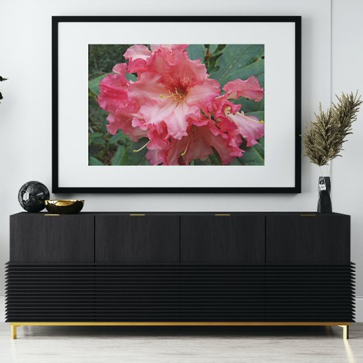 Pink Rhododendron Bloom Floral Fotodruck