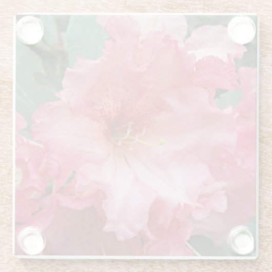 Pink Rhododendron Bloom Floral Glasuntersetzer (Rückseite)