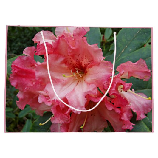 Pink Rhododendron Bloom Floral Große Geschenktüte (Rückseite)
