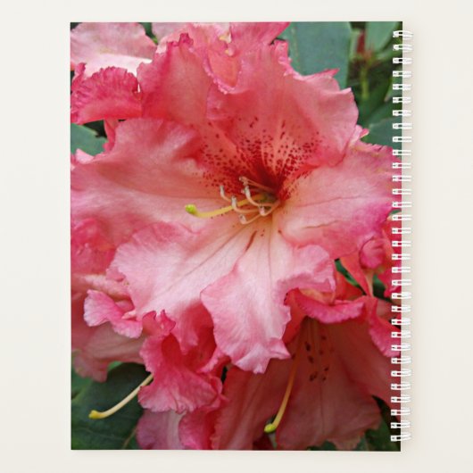 Pink Rhododendron Bloom Floral Planer (Rückseite)