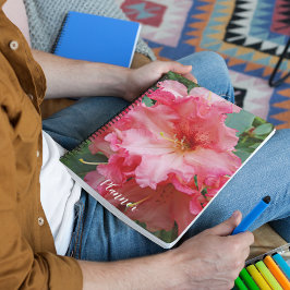 Pink Rhododendron Bloom Floral Planer