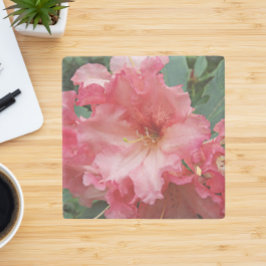 Pink Rhododendron Bloom Floral Steinuntersetzer