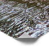 Pink Rhododendron Blooms Water Reflection Poster (Ecke)