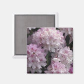 Pink Rhododendron Geschenke Magnet (Vorderseite/Rückseite)