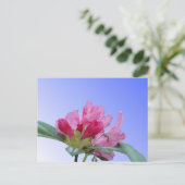 Pink Rhododendron Nah Up DIY Postkarte (Stehend Vorderseite)