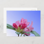 Pink Rhododendron Nah Up DIY Postkarte (Vorne/Hinten)