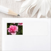 Pink Rose Address Labels (Insitu)