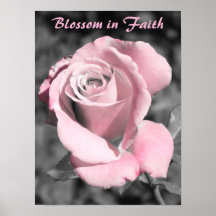 Pink Rose Faith