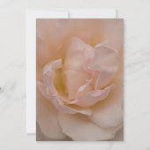 Pink Rose Floral Quinceñera Save the Date (Rückseite)