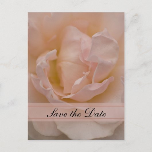 Pink Rose Floral Quinceñera Save the Date Ankündigungspostkarte (Vorderseite)