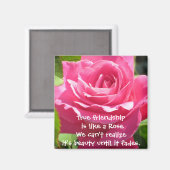 Pink Rose Friendship Magnet (Vorderseite/Rückseite)
