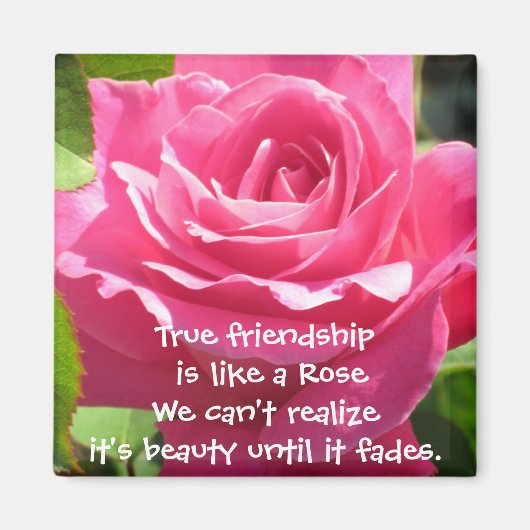 Pink Rose Friendship Magnet (Vorne)