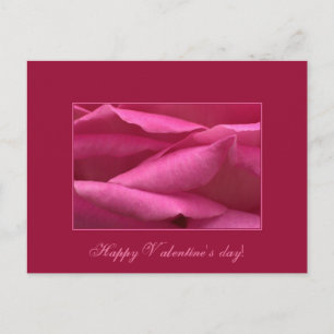 Pink rose - Happy Valentine's day Feiertagspostkarte