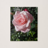 Pink Rose Jigsaw Puzzle (Vertikal)