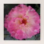 Pink Rose Jigsaw Puzzle (Horizontal)