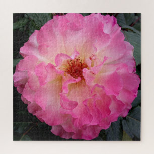 Pink Rose Jigsaw Puzzle