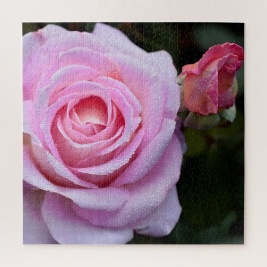 Pink Rose Jigsaw Puzzle (Vertikal)