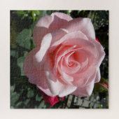 Pink Rose Jigsaw Puzzle,676 Stk. Puzzle (Horizontal)