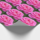 Pink Rose "Leonardo Da Vinci" Geschenkpapier (Ecke)