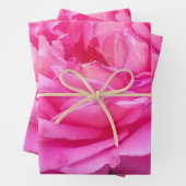 Pink Rose "Leonardo Da Vinci" Geschenkpapier Set (Beispiel)