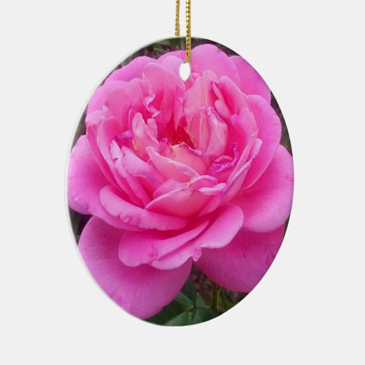Pink Rose "Leonardo Da Vinci" Keramik Ornament (Rechts)