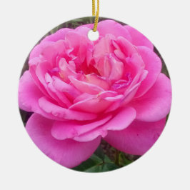 Pink Rose "Leonardo Da Vinci" Keramik Ornament