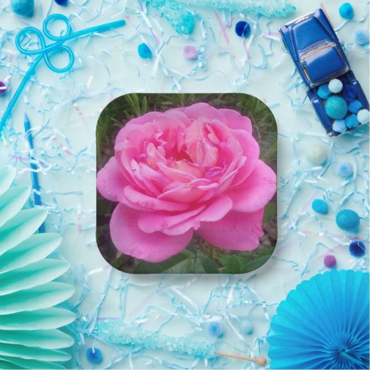 Pink Rose "Leonardo Da Vinci" Pappteller (Party)