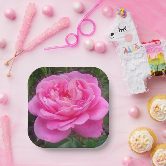 Pink Rose "Leonardo Da Vinci" Pappteller (Party)