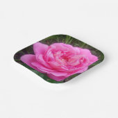 Pink Rose "Leonardo Da Vinci" Pappteller (Gewinkelt)