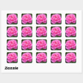 Pink Rose "Leonardo Da Vinci" Quadratischer Aufkleber (Blatt)