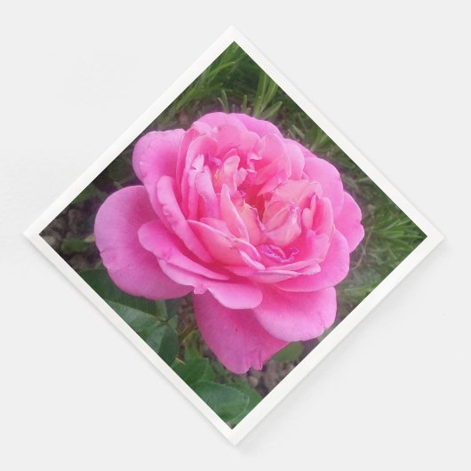 Pink Rose "Leonardo Da Vinci" Serviette (Ecke)