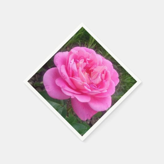 Pink Rose "Leonardo Da Vinci" Serviette (Ecke)