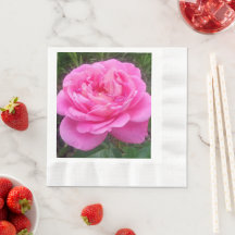 Pink Rose "Leonardo Da Vinci"
