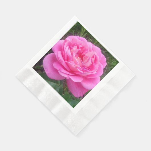 Pink Rose "Leonardo Da Vinci" Serviette (Ecke)