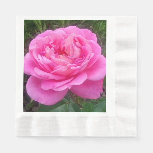 Pink Rose "Leonardo Da Vinci" Serviette (Vorderseite)