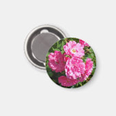 pink_Rose Magnet (Vorderseite/Rückseite)