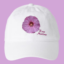 Pink Rose Mallow Flower Photographic Botanical